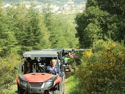 טרקטורוני נוף הורדים
